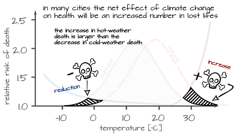 Higher average temperature will in many cities, that the overall amount of life lost will increase, because the increase in death due to hot weather conditions will in most cases be higher than the reduction of death due to cold weather conditions.