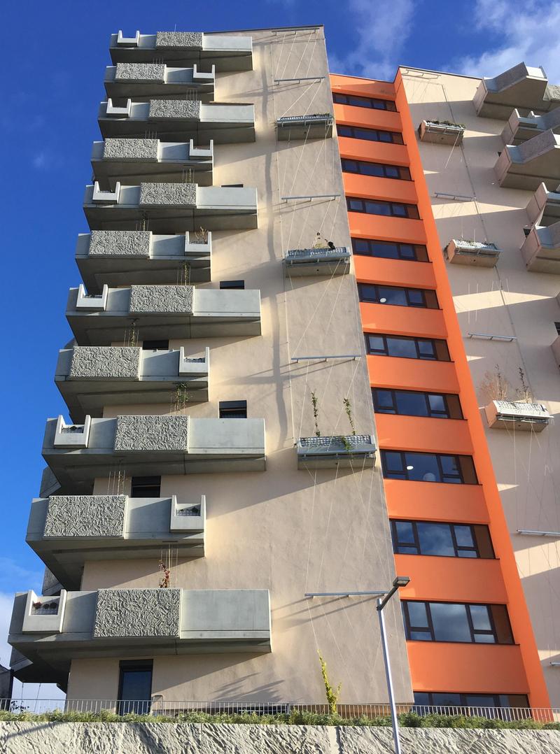 Urban housing with supposedly green wall.