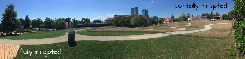 180° panorama or urban park with moist, irrigated soil on the left and dry only partially irrigated (at tree positions) on the right.