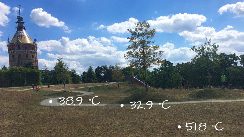 Surface temperatures in the dry part of the park - the dried-out grass had a surface temperature of almost 52°C, while the gravel walk was considerably cooler and shaded areas cooler again.