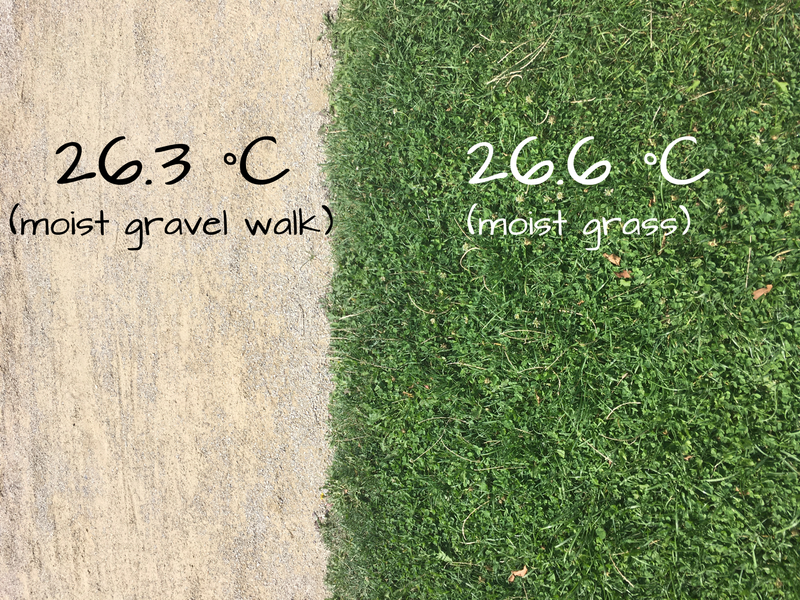 Surface temperature of moist gravel and grass (watered overnight) - gravel appears slightly cooler due to higher albedo.