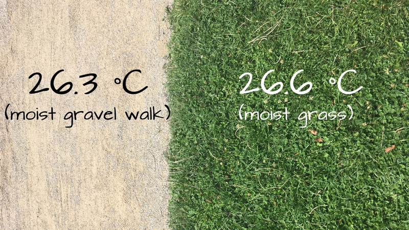 Surface temperature of moist gravel and grass (watered overnight) - gravel appears slightly cooler due to higher albedo.